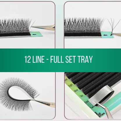 No 6 - 4D (W) Eyelash Extension ✅ FULL set