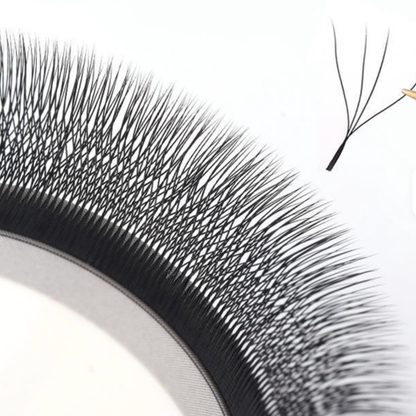 No 6 - 4D (W) Eyelash Extension ✅ FULL set