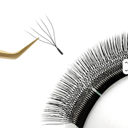 No 8 - 5D (W) Eyelash Extension ✅ FULL set