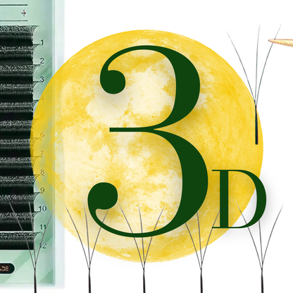 No 4 - 3D (W) Eyelash Extension ✅ FULL set