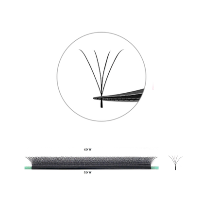 No 6 - 4D (W) Eyelash Extension ✅ FULL set