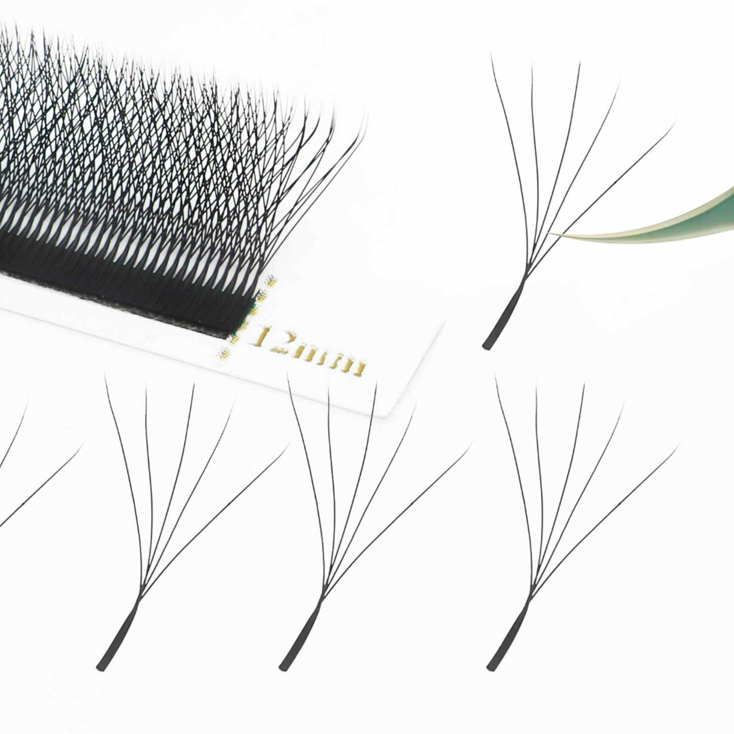 No 8 - 5D (W) Eyelash Extension ✅ FULL set