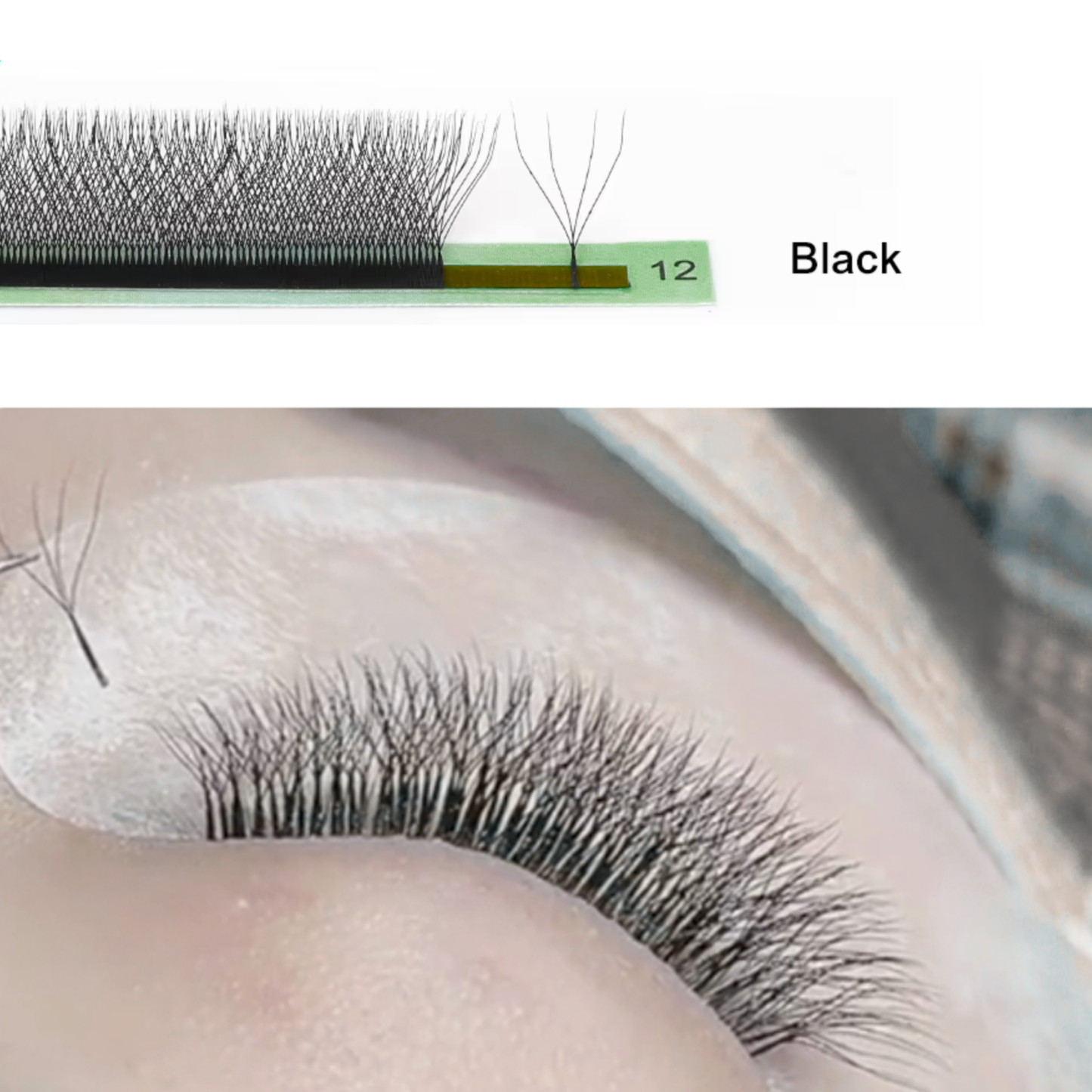 No 6 - 4D (W) Eyelash Extension ✅ FULL set