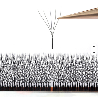 No 8 - 5D (W) Eyelash Extension ✅ FULL set