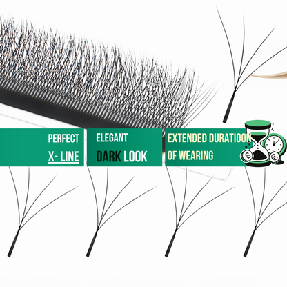 No 6 - 4D (W) Eyelash Extension ✅ FULL set