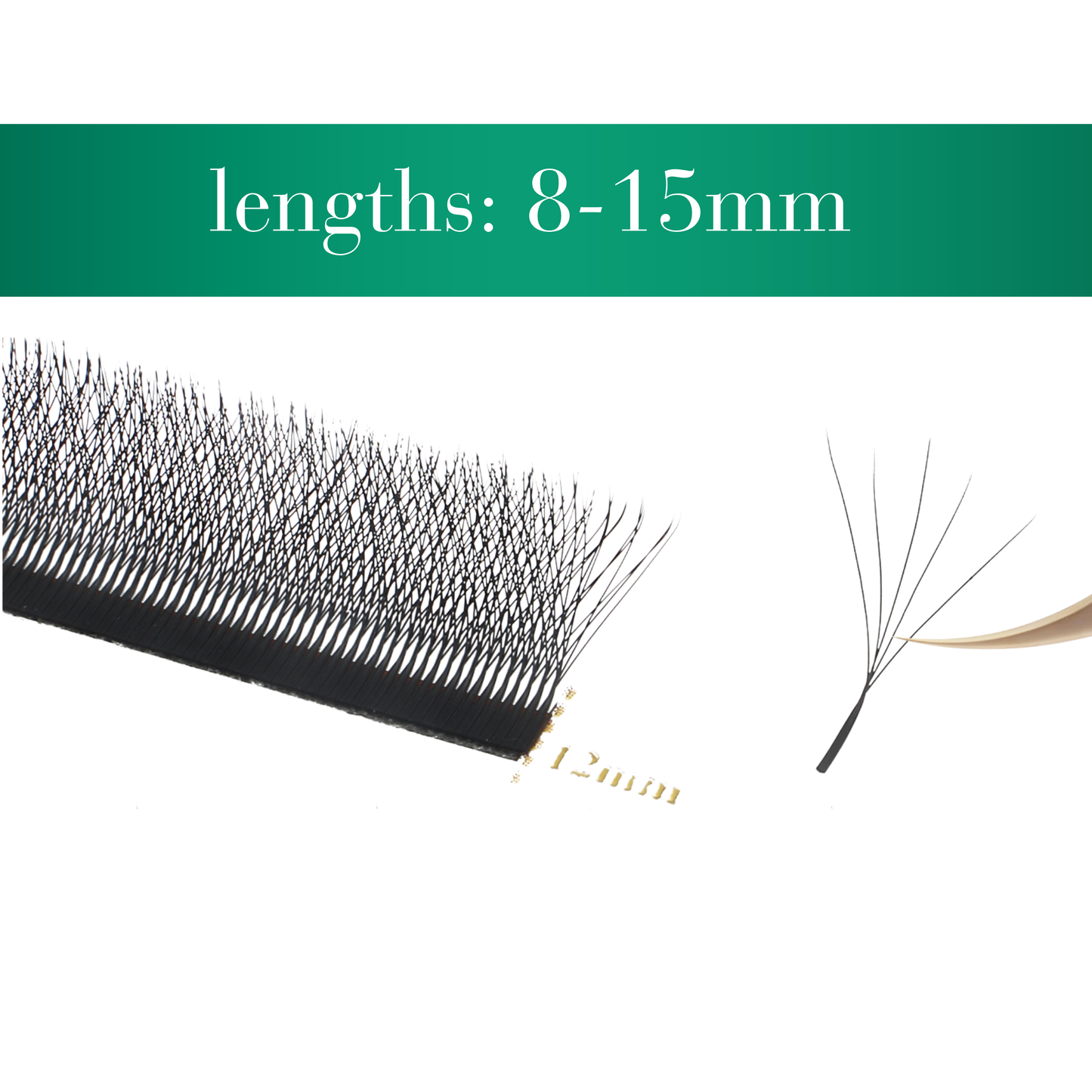 No 8 - 5D (W) Eyelash Extension ✅ FULL set