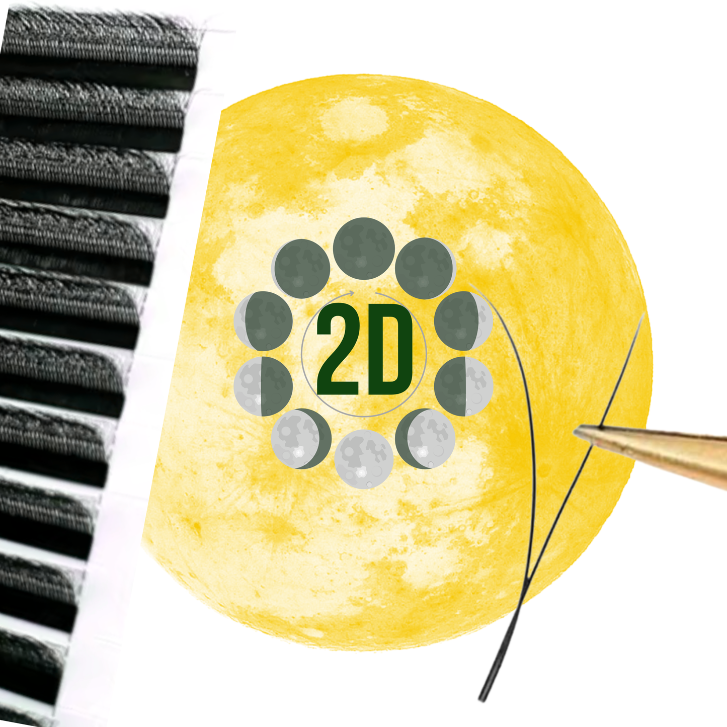 No 1 - 2D Simple BeautY Eyelash Extension ✅ FULL set