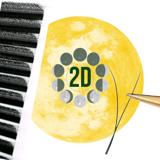 No 1 - 2D Simple BeautY Eyelash Extension ✅ FULL set