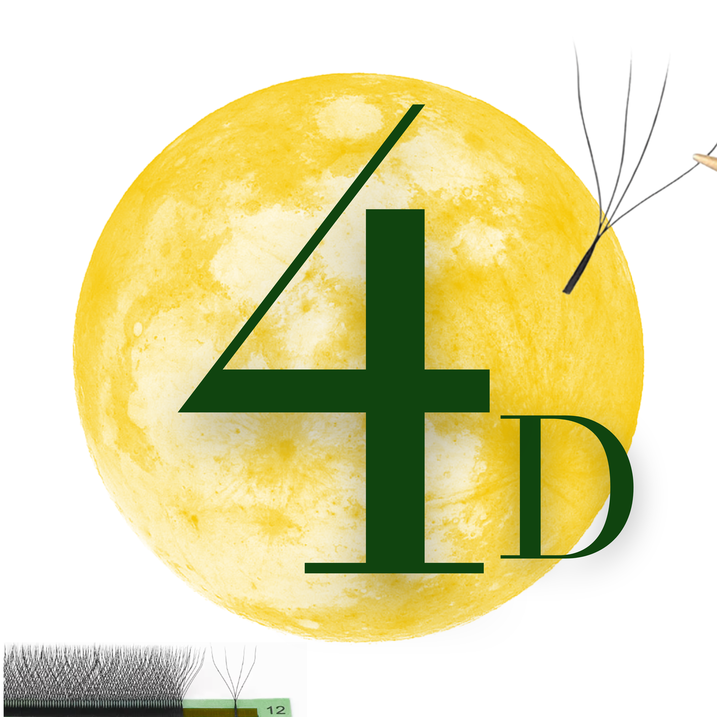 No 6 - 4D (W) Eyelash Extension ✅ FULL set