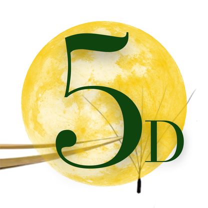 No 8 - 5D (W) Eyelash Extension ✅ FULL set